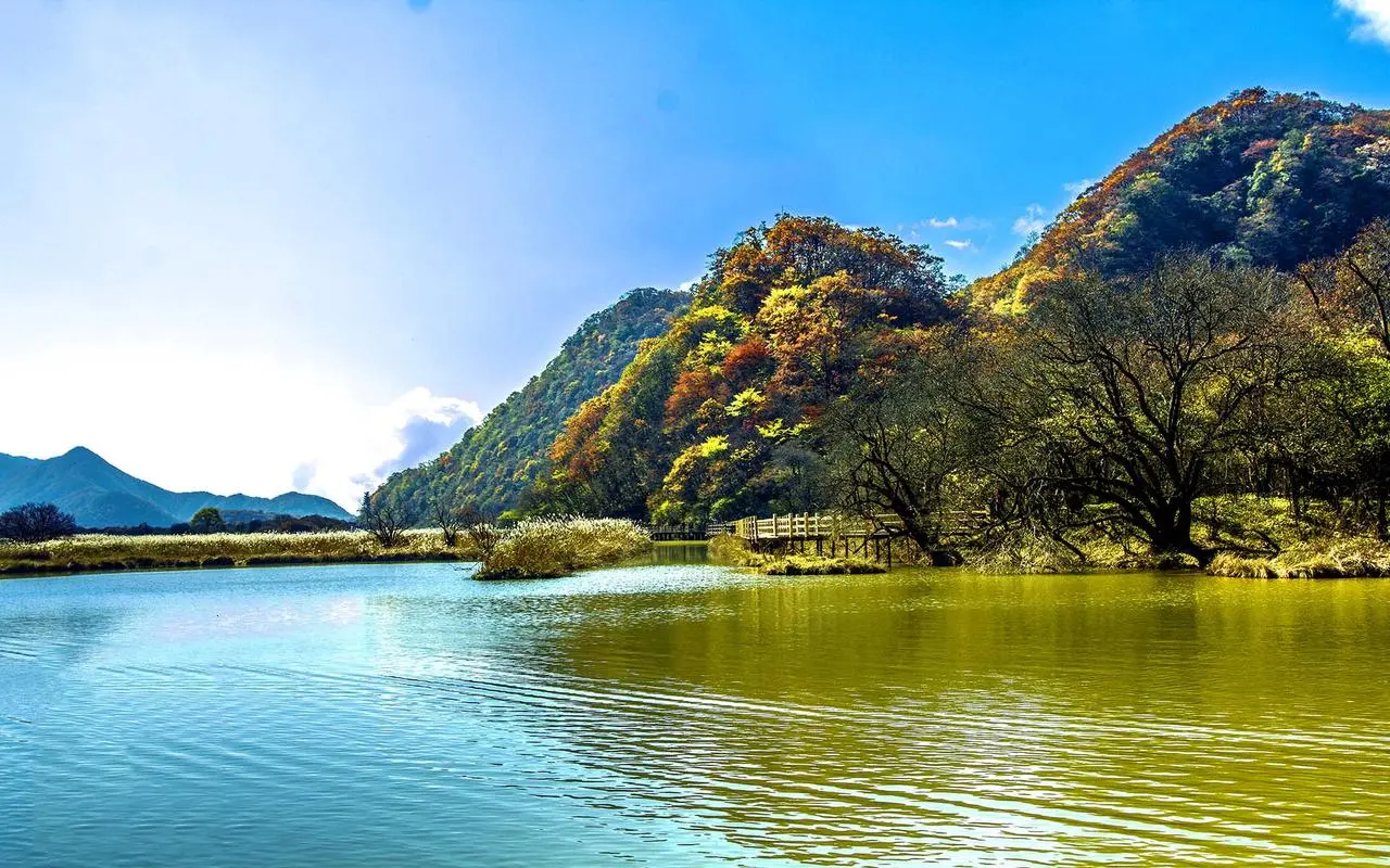 高精度电子高端